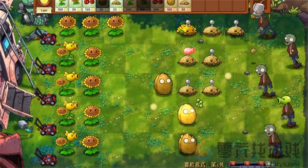 《植物大战僵尸融合版》冒险模式第4关通关攻略(图5)