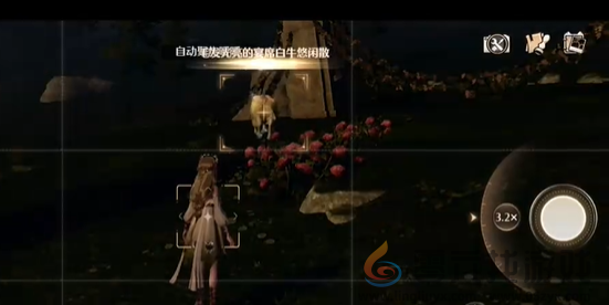 无限暖暖咔嚓拍摄健康瞬间怎么过(图5) 无限暖暖咔嚓拍摄健康瞬间怎么过(图5)